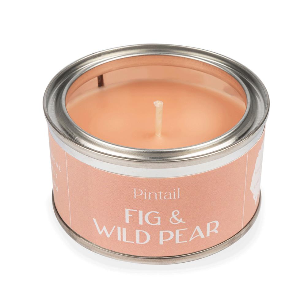 Pintail Candles Fig & Wild Pear Paint Pot Candle Extra Image 2